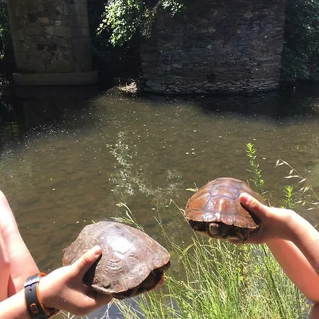 Juanin - Turistico Gold * Фреснедосо-де-Ибор