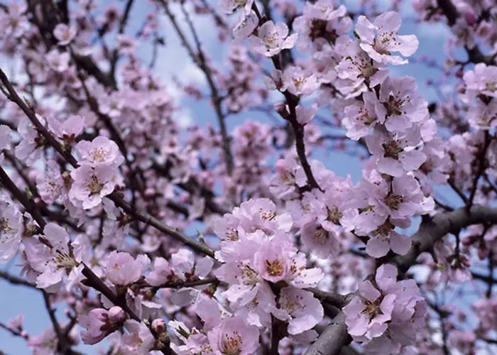 Juanin - Turistico Gold Prázdninový dům