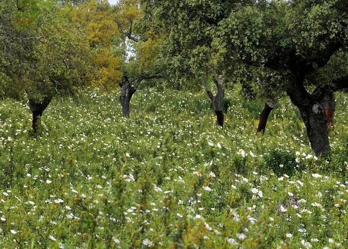 Juanin - Turistico Gold * Fresnedoso de Ibor